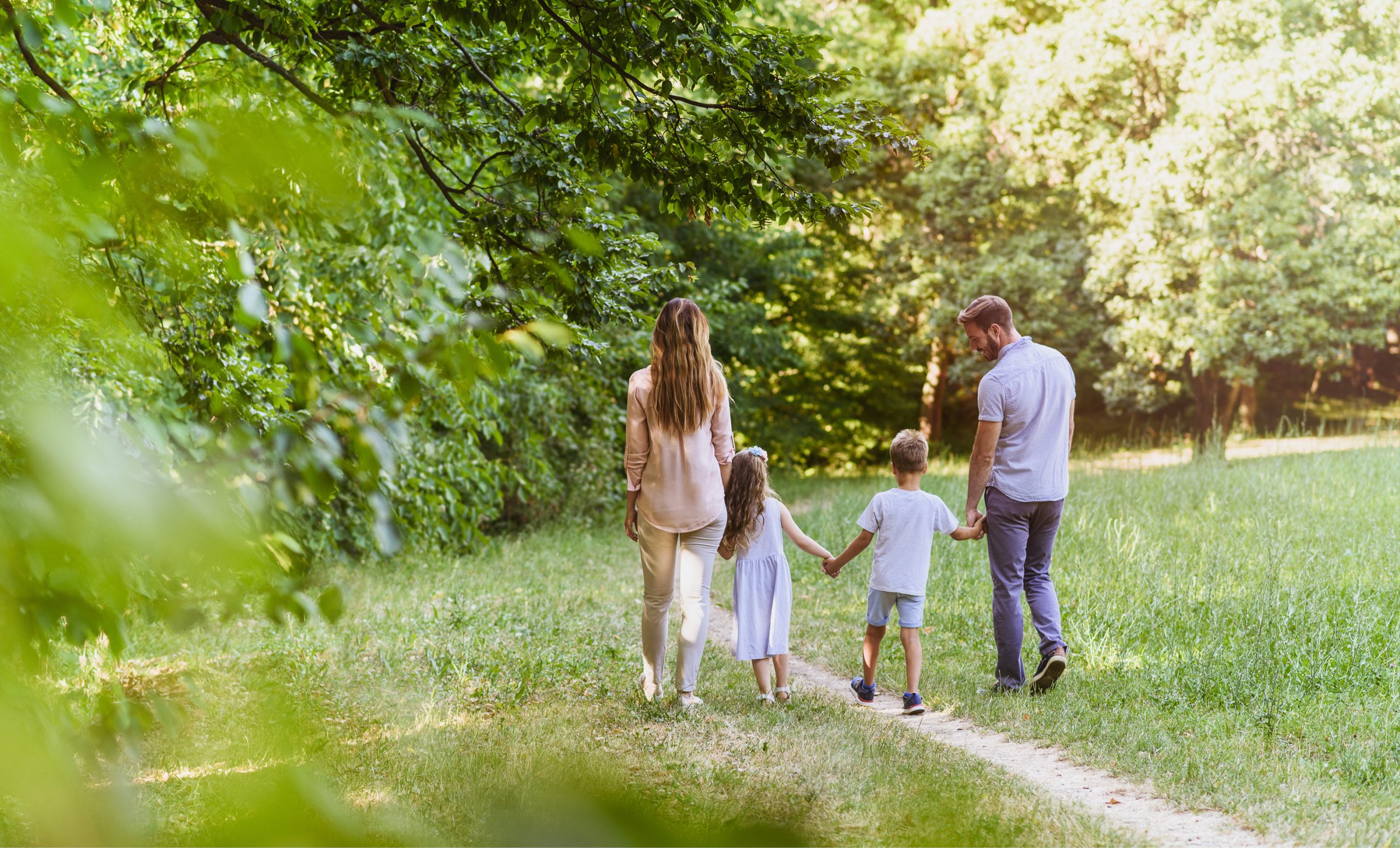 I go to nature. Прогулка семьей на природе. Семья на природе со спины. Семья гуляет в парке летом.