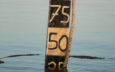 AndPapers Q4 2020 | Central Bank Mantra ‘Low for Longer’