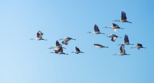 US expatriation part 3: planning opportunities